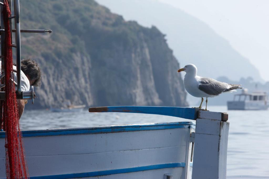 Taverna Del Capitano Marina del Cantone Ngoại thất bức ảnh
